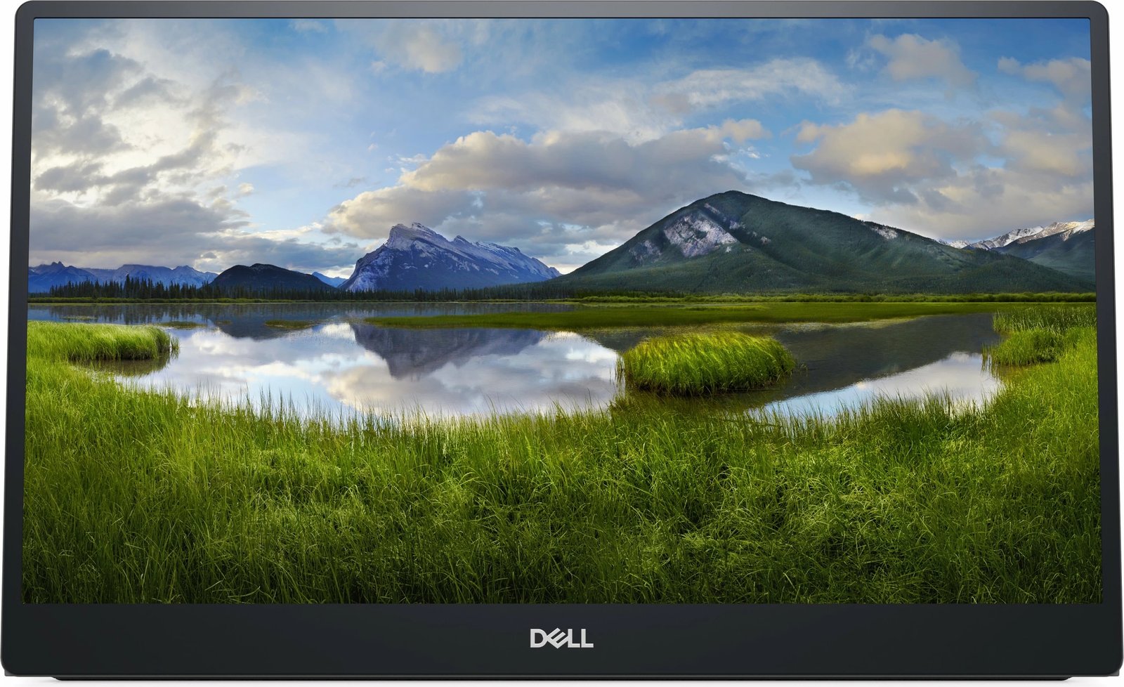 Monitor Dell P1424H, 35.6cm/14'', FHD, LED IPS, 2xUSB-C/DP, i zi