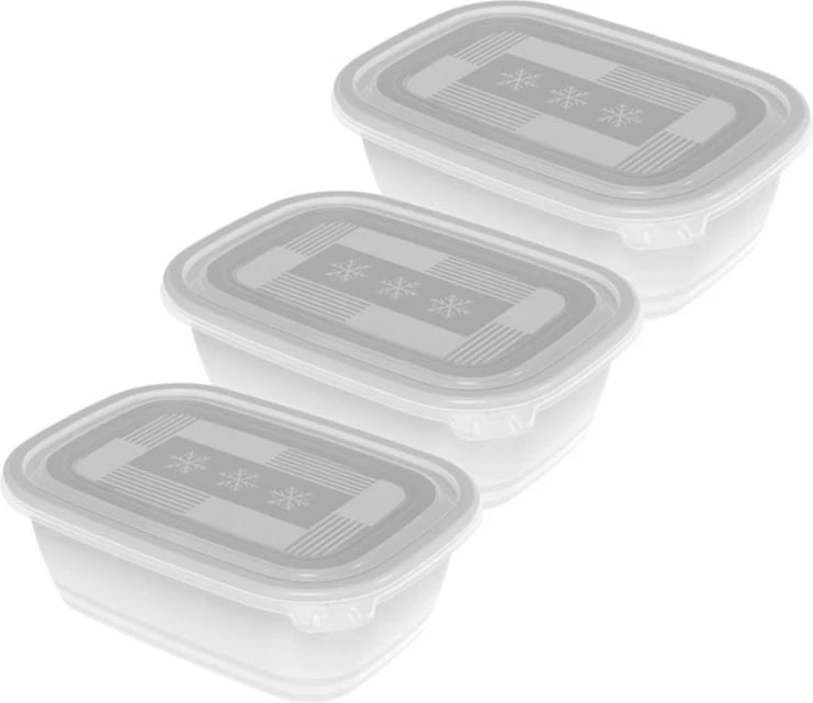 Enë për ngrirje Rotho Freeze, 3x1l, Transparente