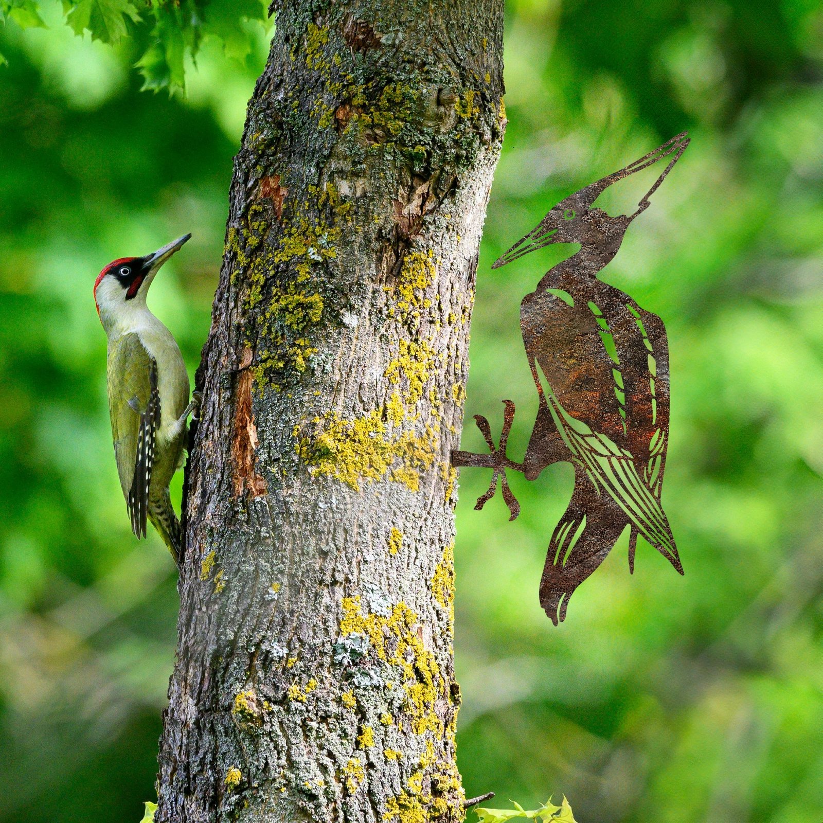 Objekt dekorativ për kopsht, zog në degë, ngjyrë kafe, Aberto Design, 22x40cm