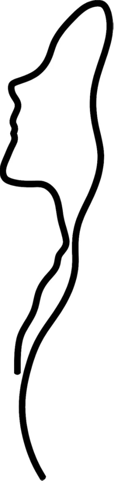 Aksesor dekorativ metalik për mur, profil fytyre gruaje, Wallity