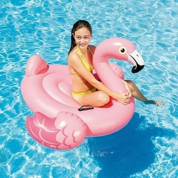 Lodër fryrëse për pishinë Intex 57558NP, flamingo, rozë
