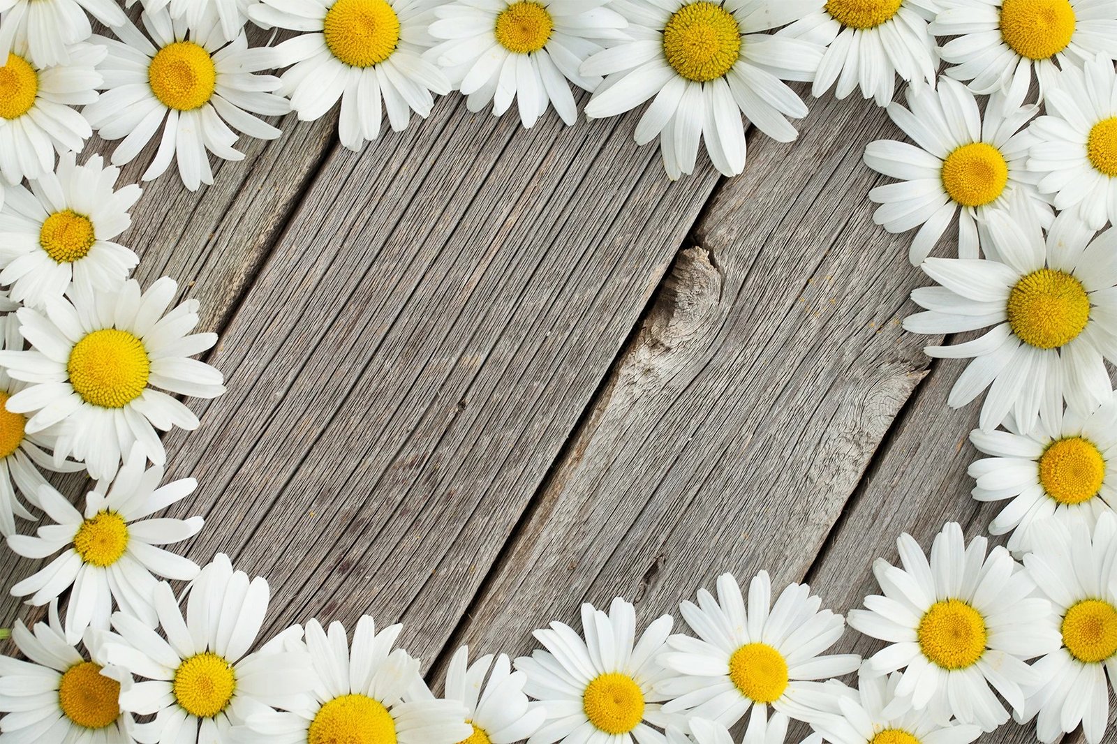 Set tapetesh për banjo (2 copë), Mijölnir, CT-5228