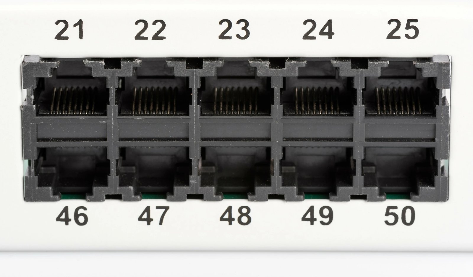 Patch panel Digitus ISDN, 50 porta, Cat3, rack 1U, gri