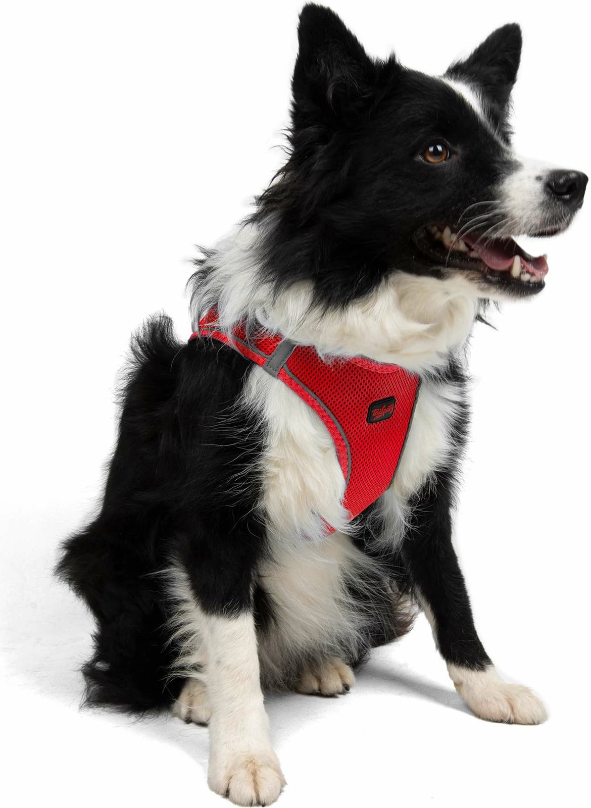 Parzmore për qen, ngjyrë garnet, Air-Mesh, Paws & Whiskers, XS