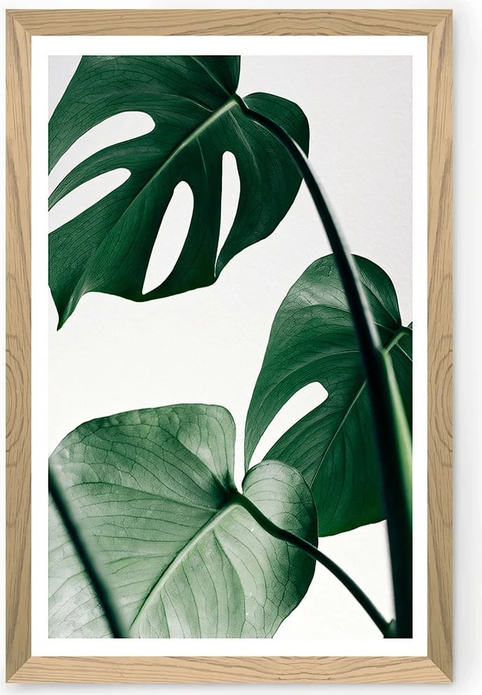 Pikturë dekorative murale, Tekhammdf46, shumëngjyrëshe, 33x48cm