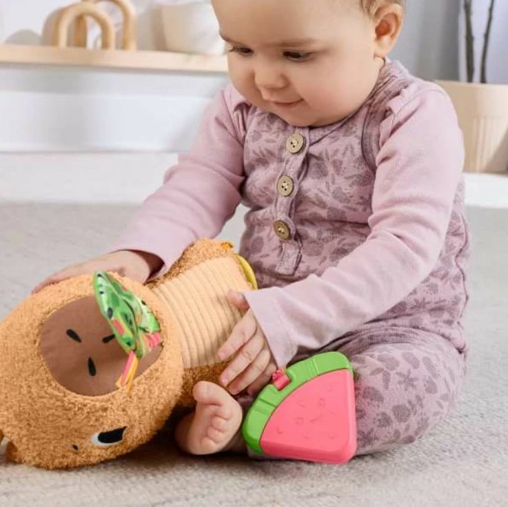 Lodër pelushi sensorike Fisher Price Capybara HYR54, shumëngjyrëshe
