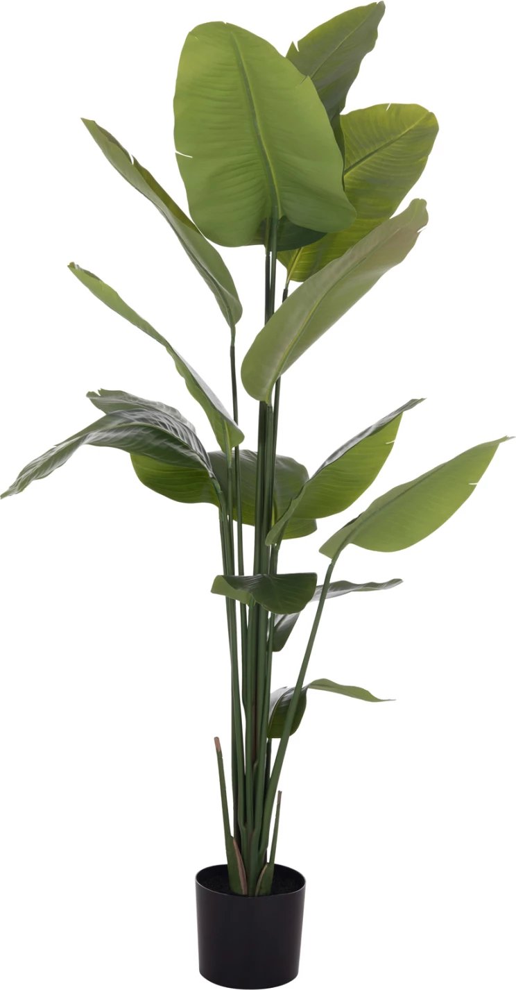 Bimë sintetike dekorative në vazo, Strelitzia, FH4739, Φ18x172cm