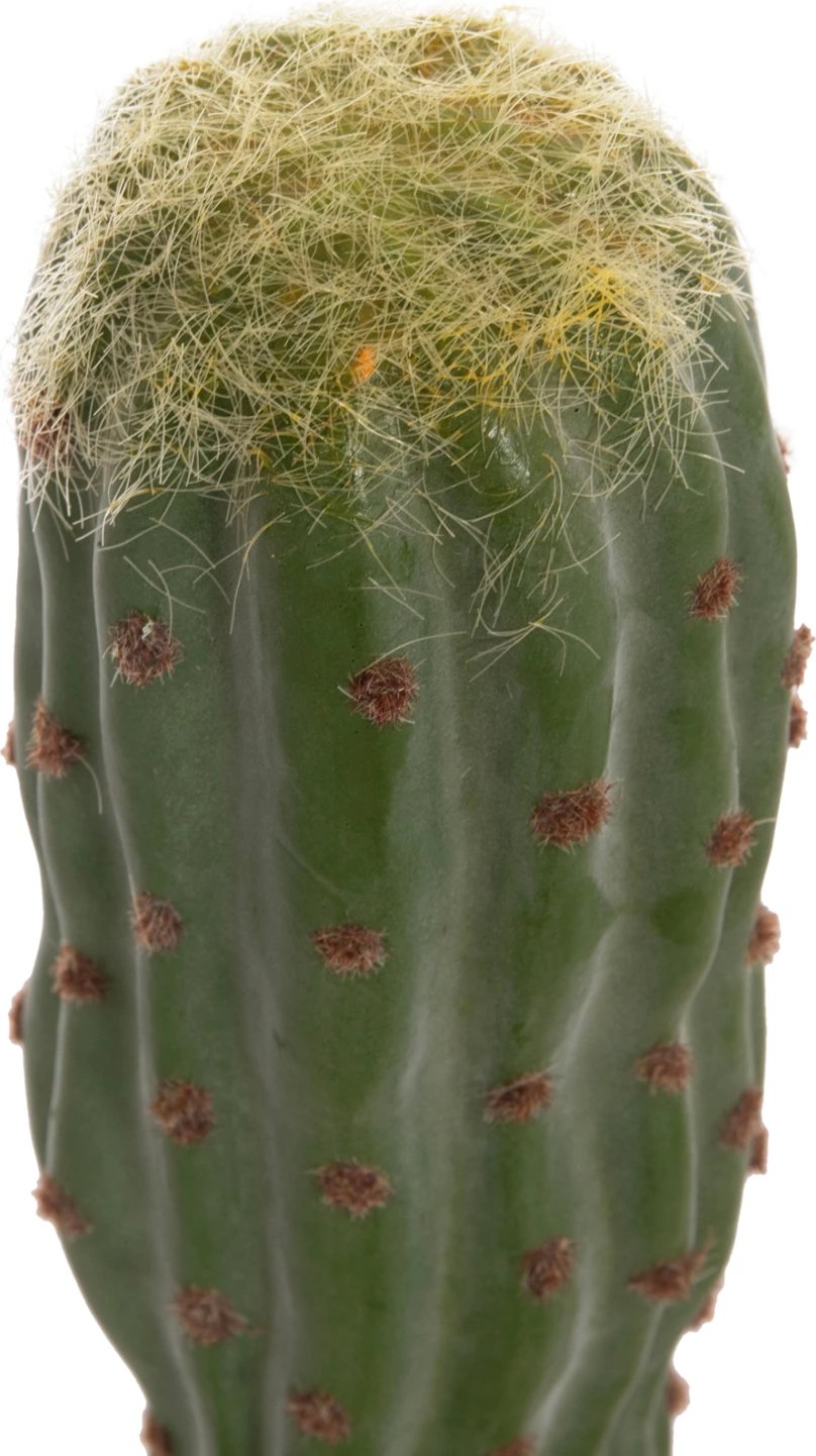 Bimë dekorative sintetike në vazo, lloj kaktusi, FH4747, 17.5x115cm