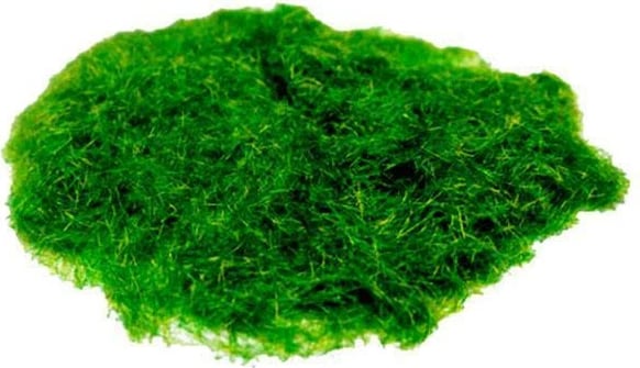 Bar najloni i gjelbër NEXT 50gr