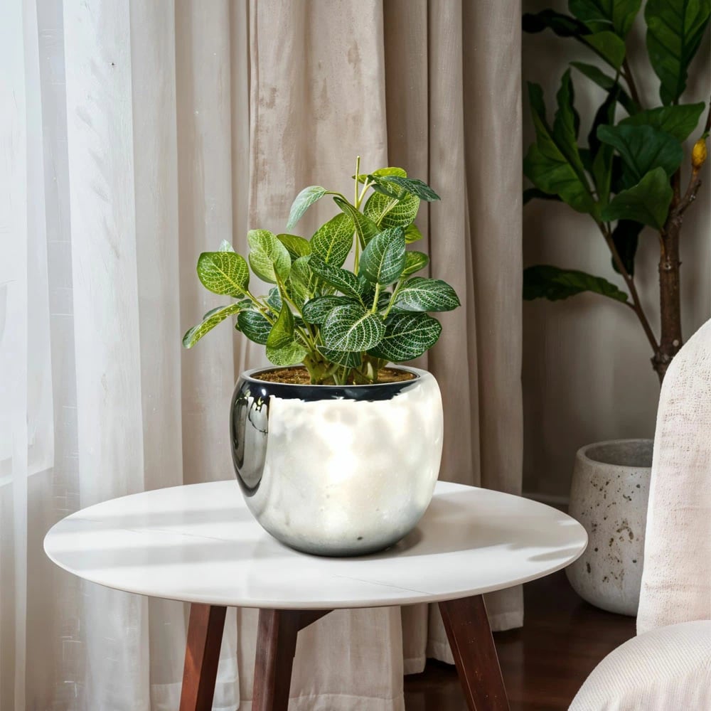 Vazo Argento, qeramike, ngjyrë argjendi, 28x28x24 cm