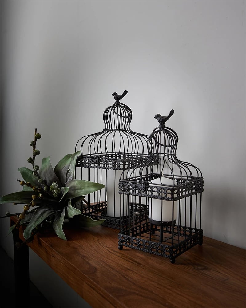 Set dekorativ kafazësh Daisy, 2 copë, metal i zi, qelq, 20x20x46cm