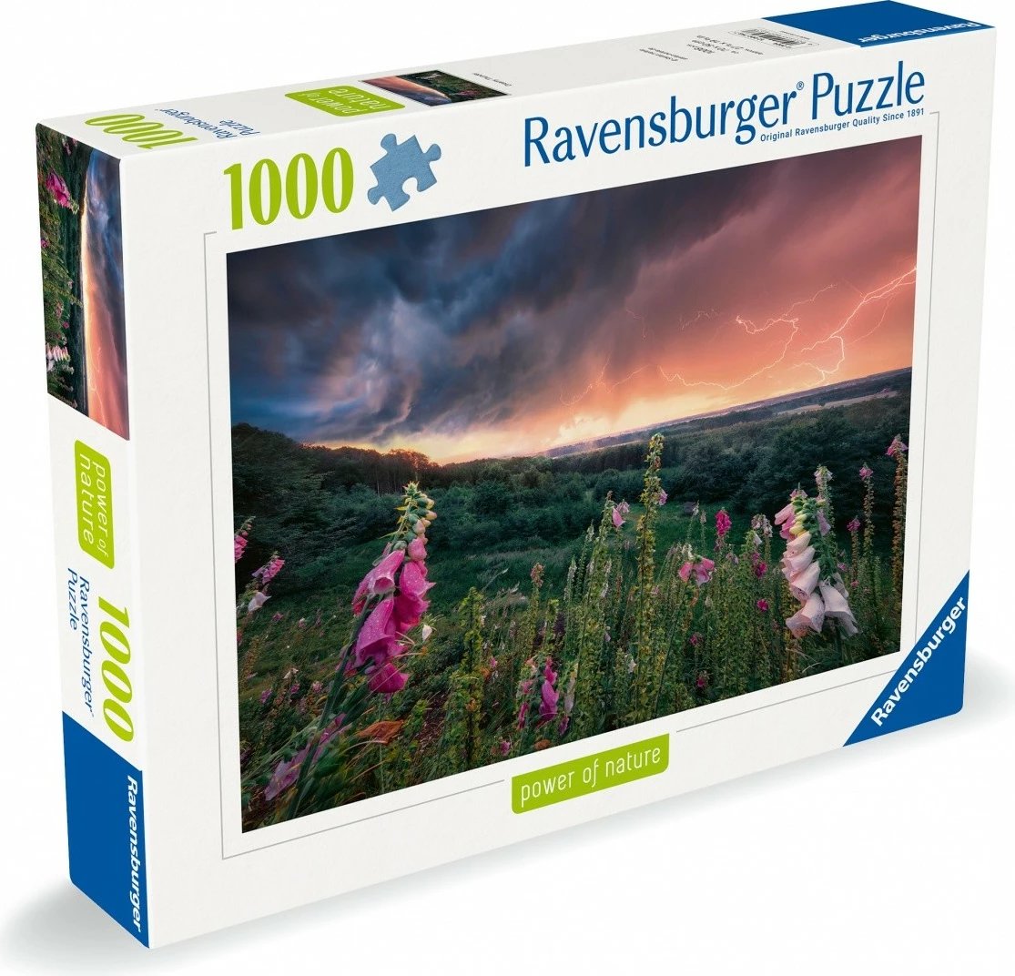 Puzzle Ravensburger Coming Storm 1000 pjesë, 70x50 cm