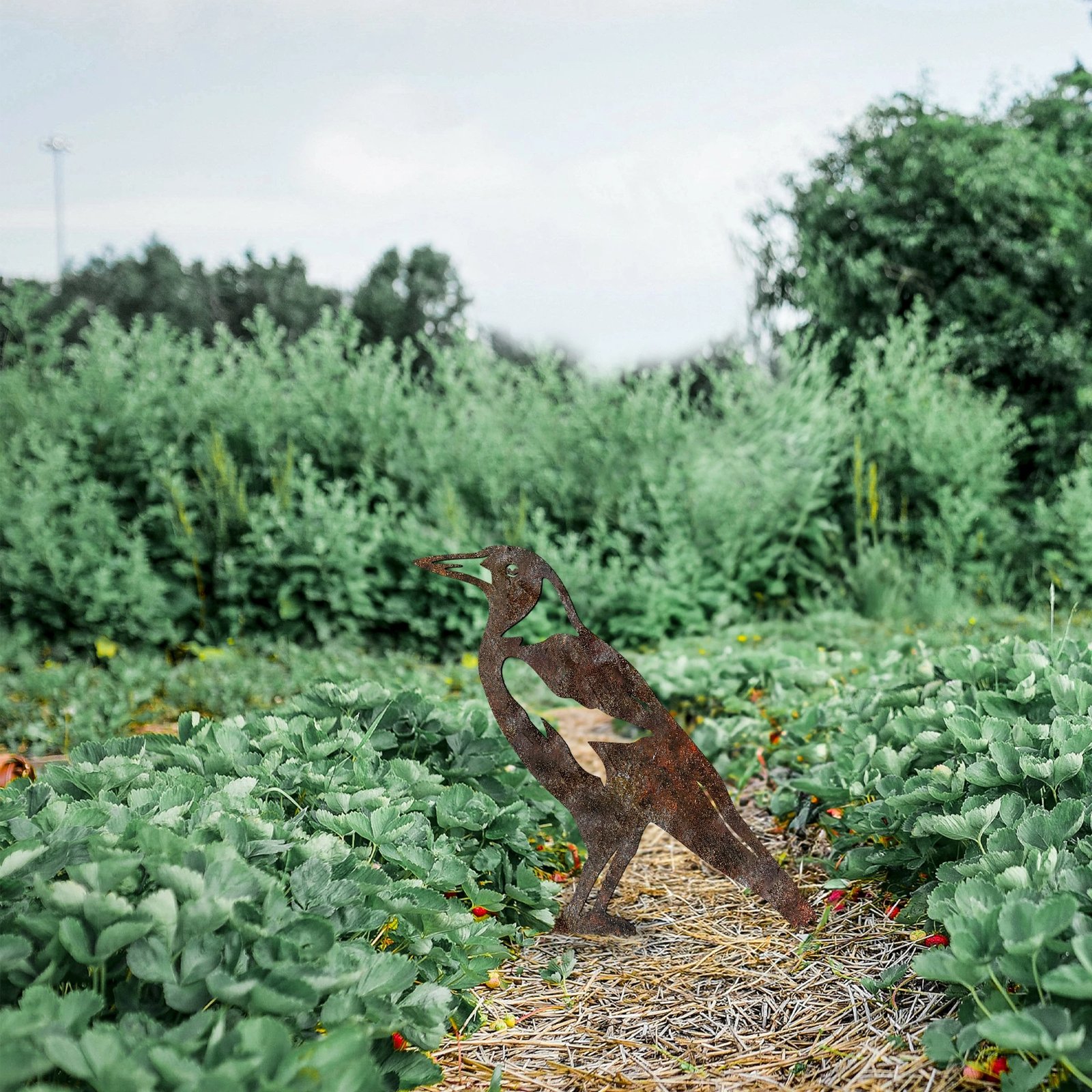 Objekt dekorativ për kopsht, Aberto Design, zog, A 02