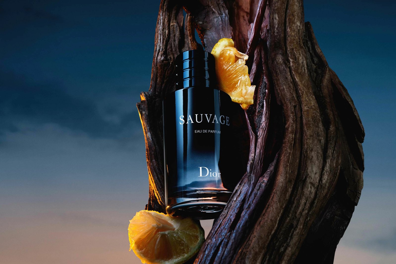 Eau De Parfum Dior Sauvage, 100 ml
