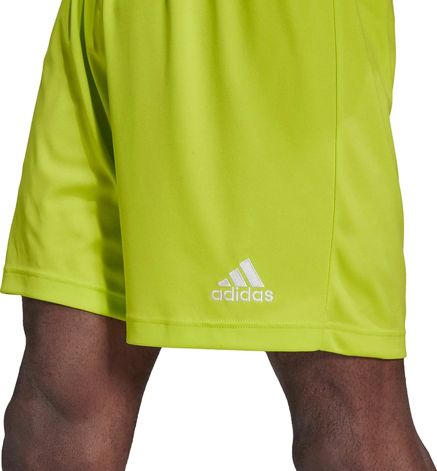 Shorce për meshkuj adidas, të gjelbra