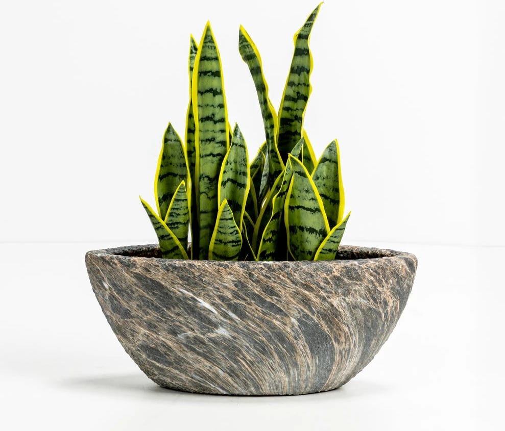 Set vazo GASHER, 2 copë, qeramikë, antracit-bezhë, 46x22x20