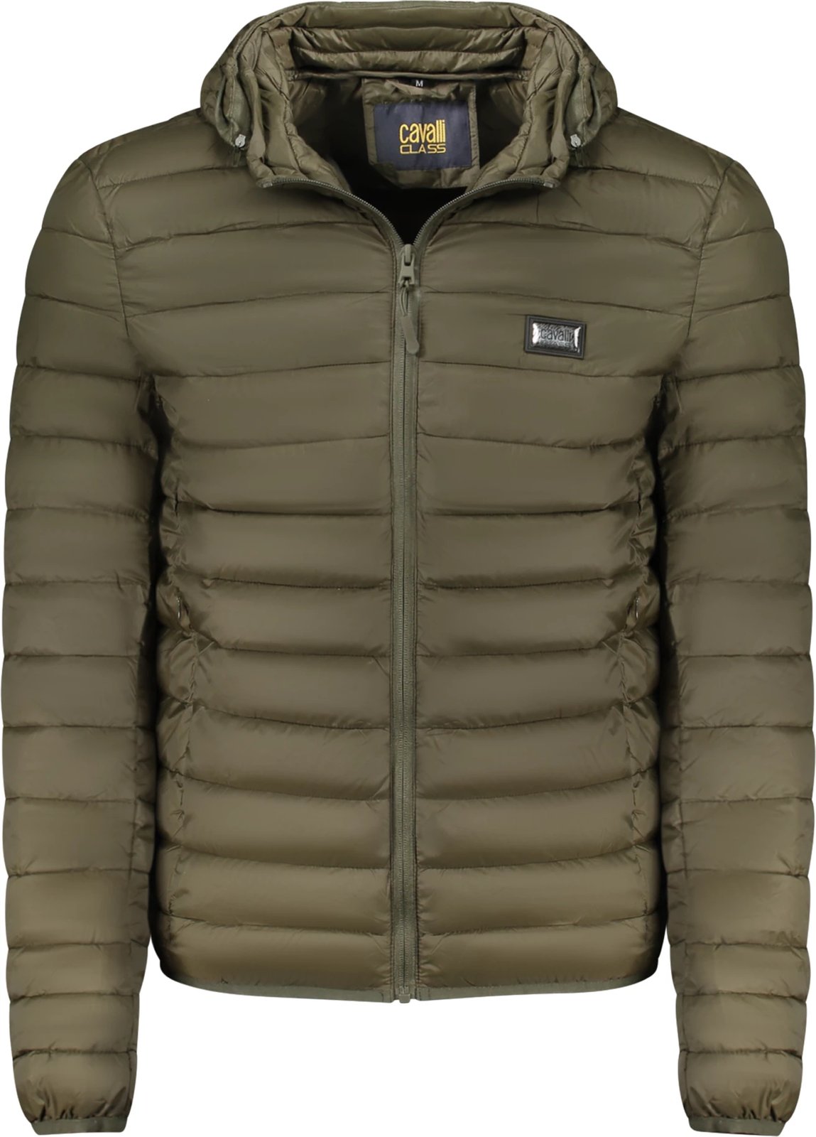 Jakne për meshkuj CAVALLI CLASS, e gjelbër