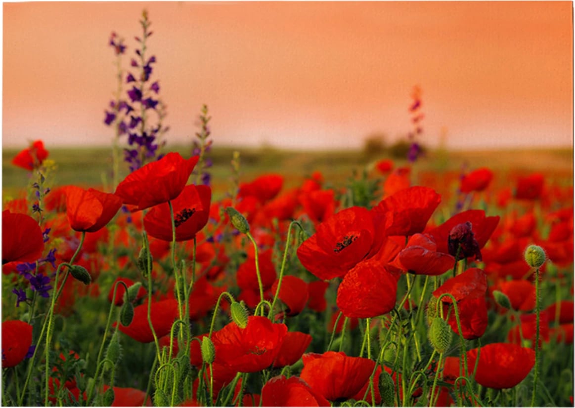 Pikturë muri GOBI FH4760, kanavacë e printuar, 70x3x50cm