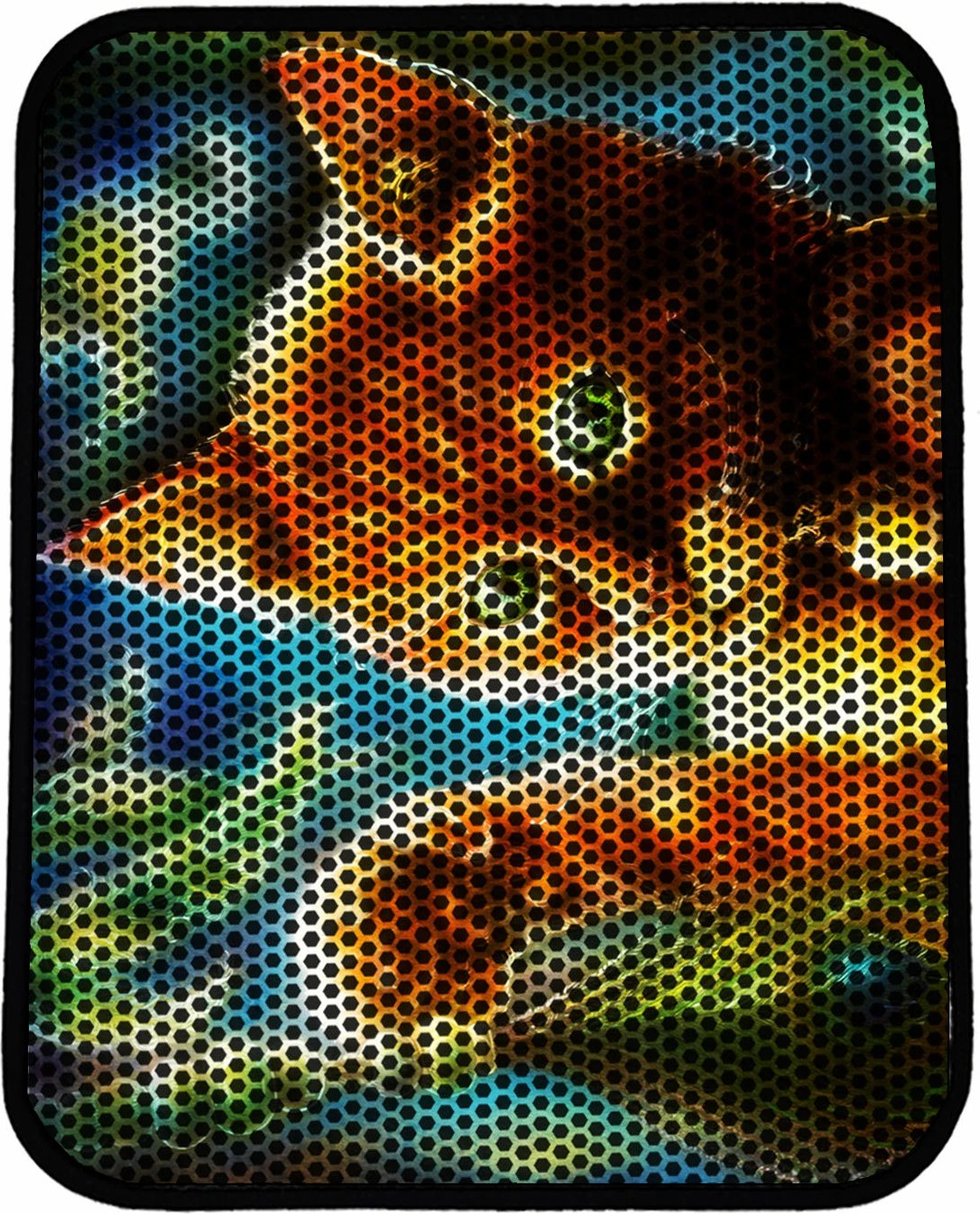 Tapet për rërë mace, shumëngjyrësh, Paws & Whiskers, Nrszn0115, 45x60cm