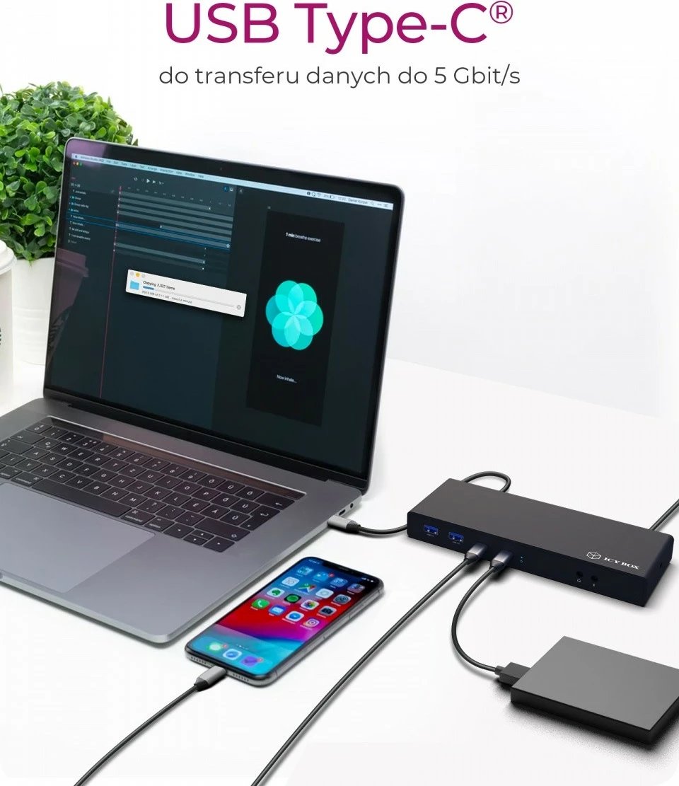 Kasë dokimi IcyBox IB-DK2245AC, 13në1, 2xDP, 2xHDMI, USB, LAN, USB-C, PD deri 60W, e zezë
