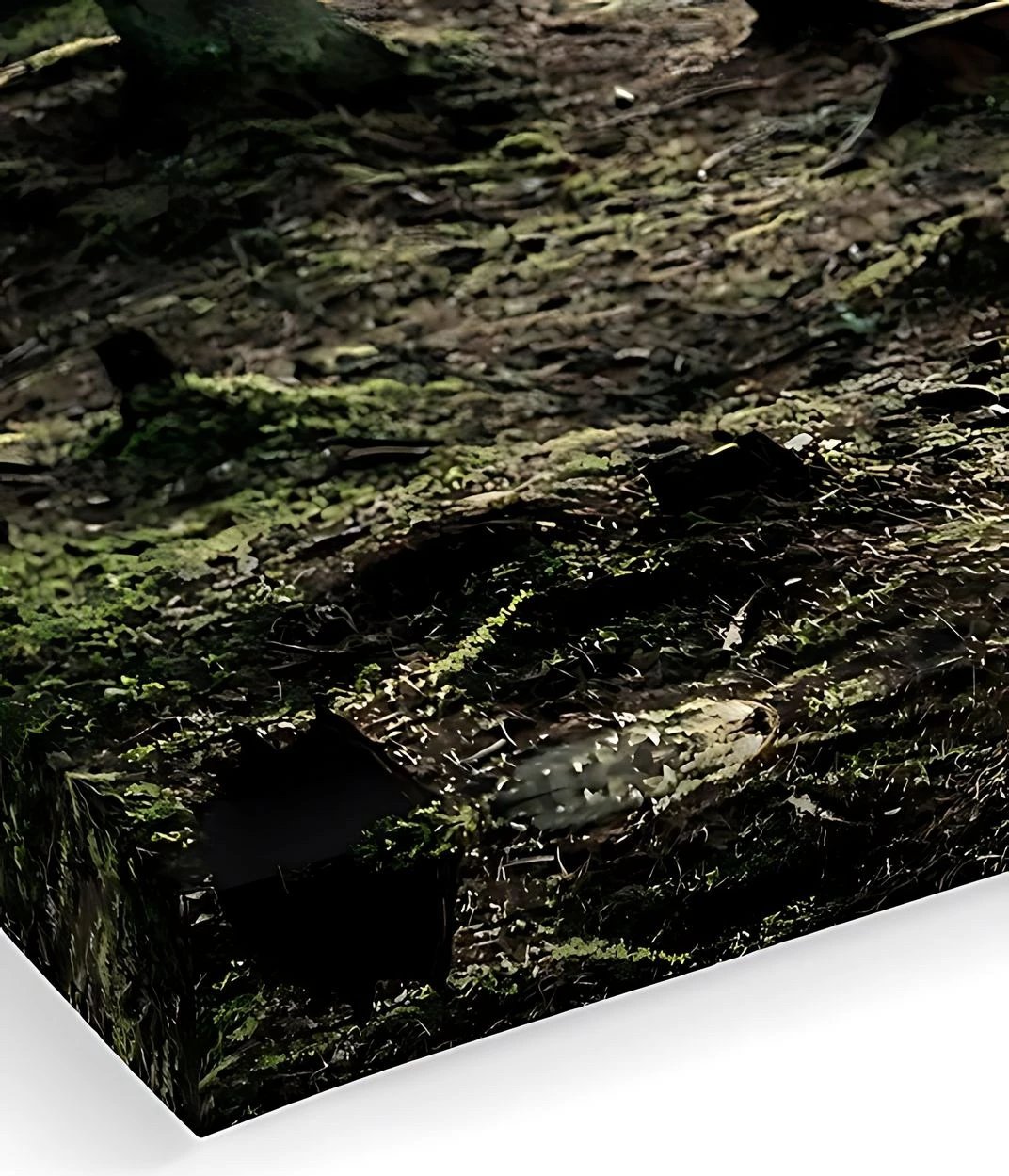 Pikturë dekorative në kanavacë, shumëngjyrëshe, Wallity Artcanvas51, 40x60cm