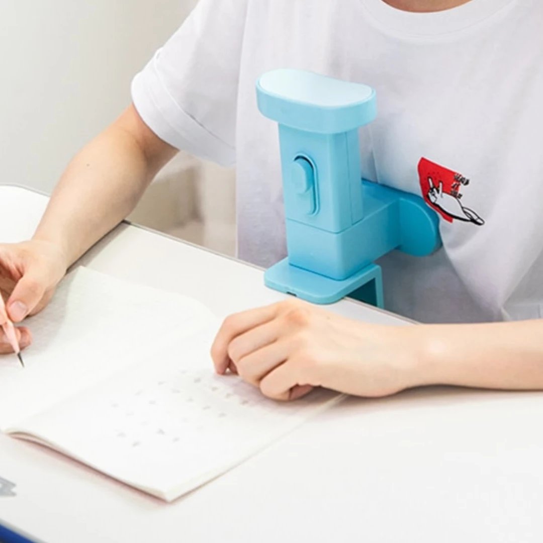 DELI PAISJE PER DREJTIM TE SHPINES 70540A