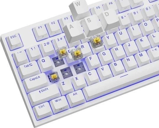 Tastierë mekanike Genesis Thor 404 TKL, e bardhë me RGB