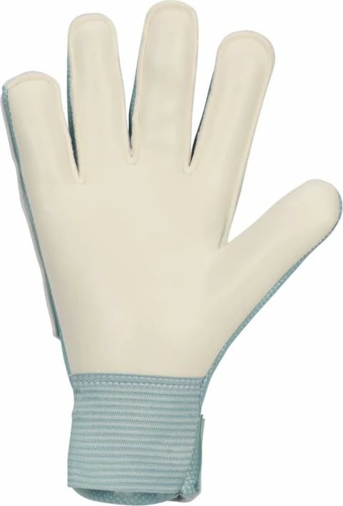 Doreza portieri për fëmijë Nike, të kaltra