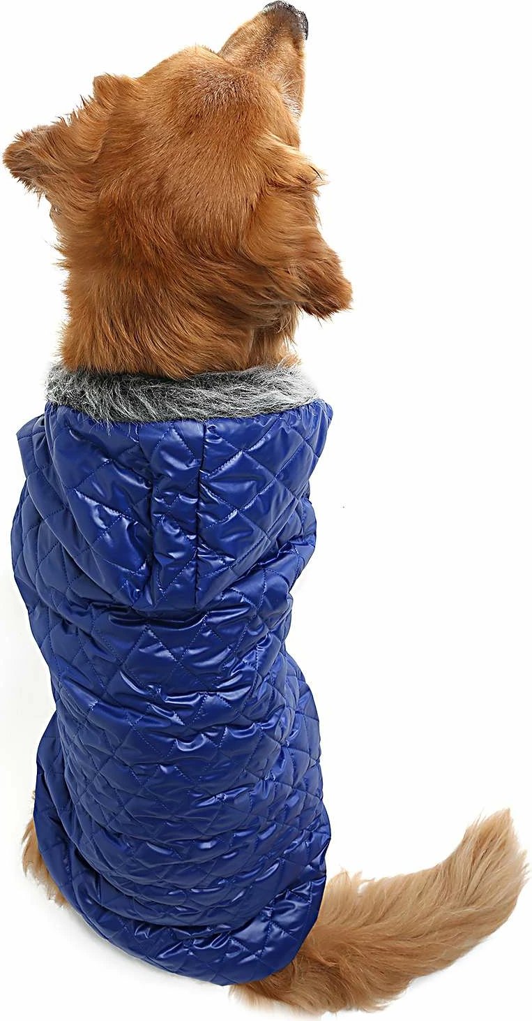 Bluze me kapuç për qen, ngjyrë kaltër, Paws & Whiskers, Bluecoat