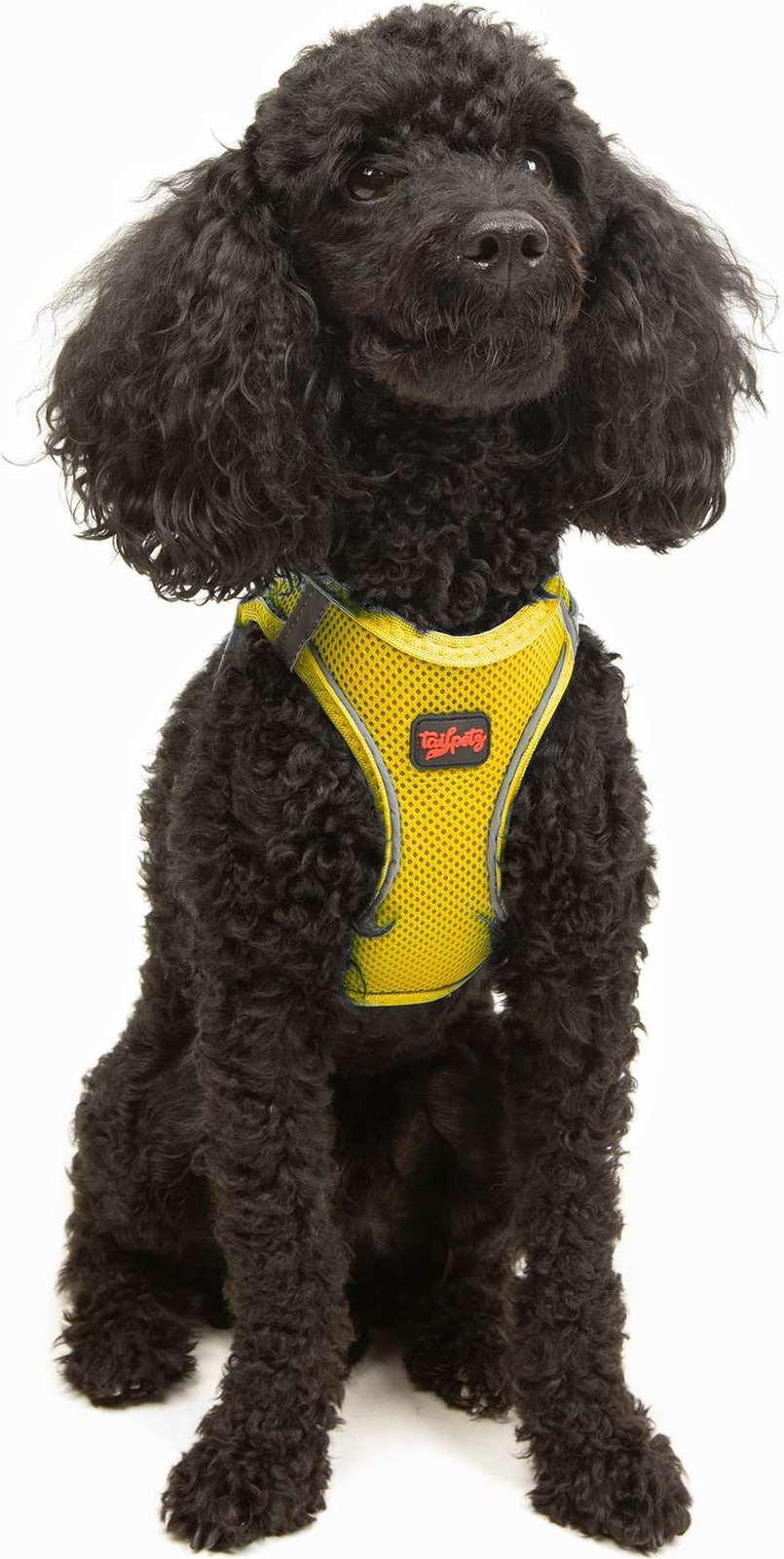 Parzmore për qen, Air-Mesh, e verdhë