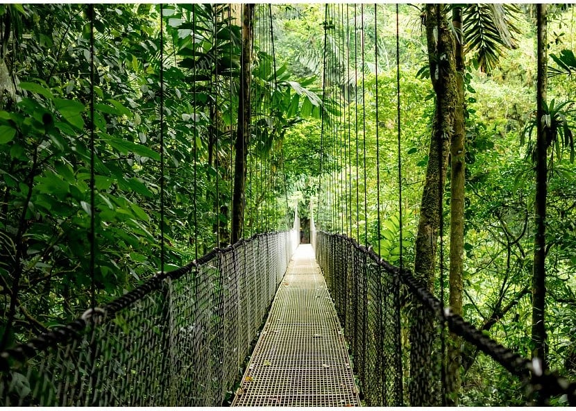 Laptop HP EliteBook 6 G1a, 14", AMD Ryzen AI 5 340, 16 GB RAM, 512 GB SSD, Argjend