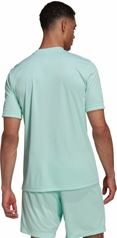 Maicë adidas për meshkuj, e gjelbër