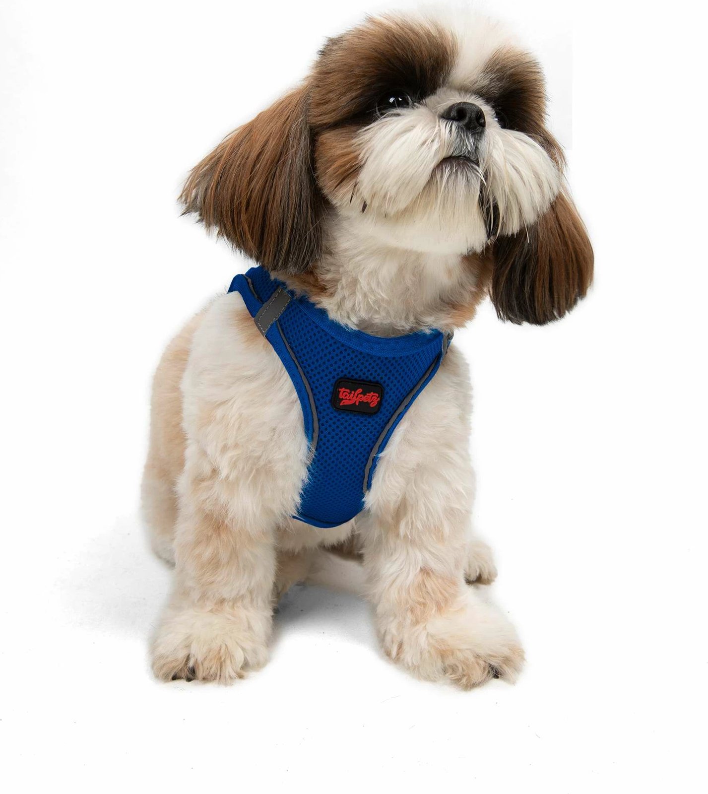 Parzmore për qen, Air-Mesh, ngjyrë sax blue