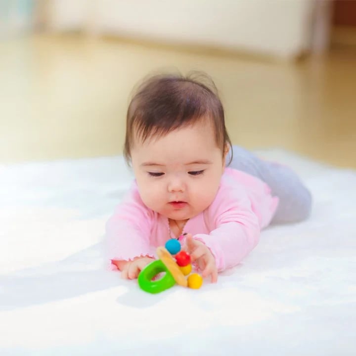Bell Rattle  4m+