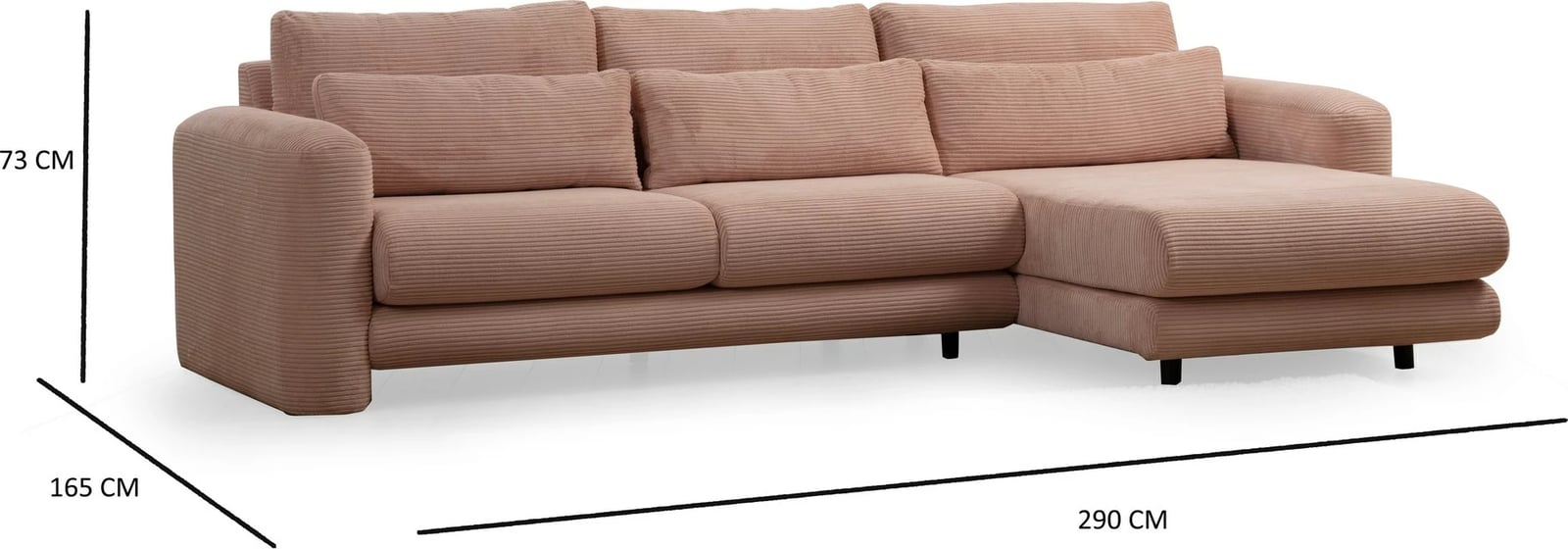 Këndare Lily, kënd i djathtë, ngjyrë rozë