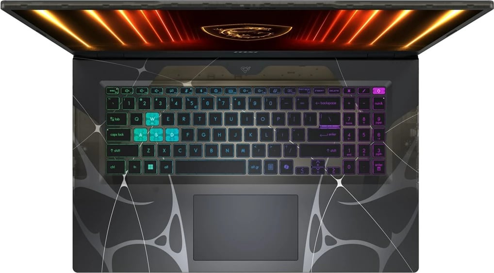 Laptop gaming MSI Cyborg 17 B2RWEKG-030XPL, 17.3", Intel Core 5 210H, 16 GB RAM, 512 GB SSD, NVIDIA RTX 5050, i zi