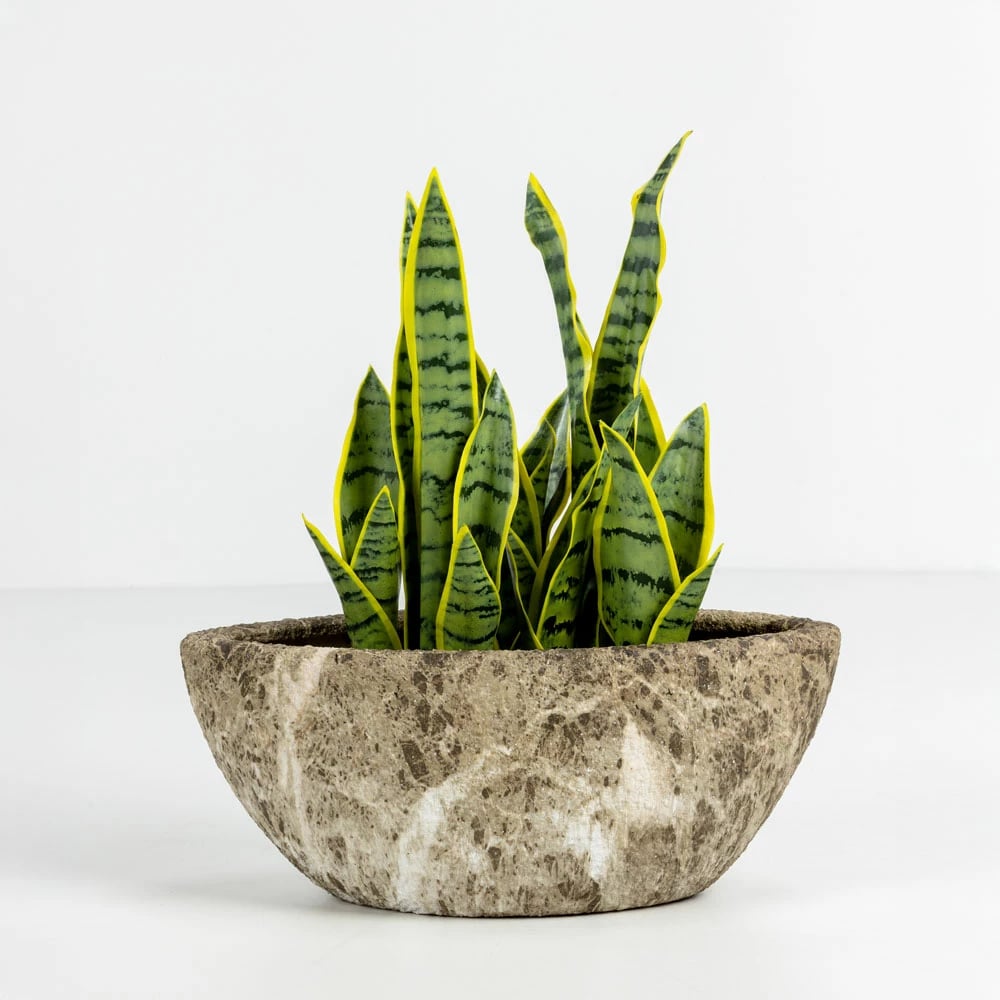 Set vazo për bimë NANGA, 2 copë, qeramikë, bezhë-kafe, 46x22x20cm