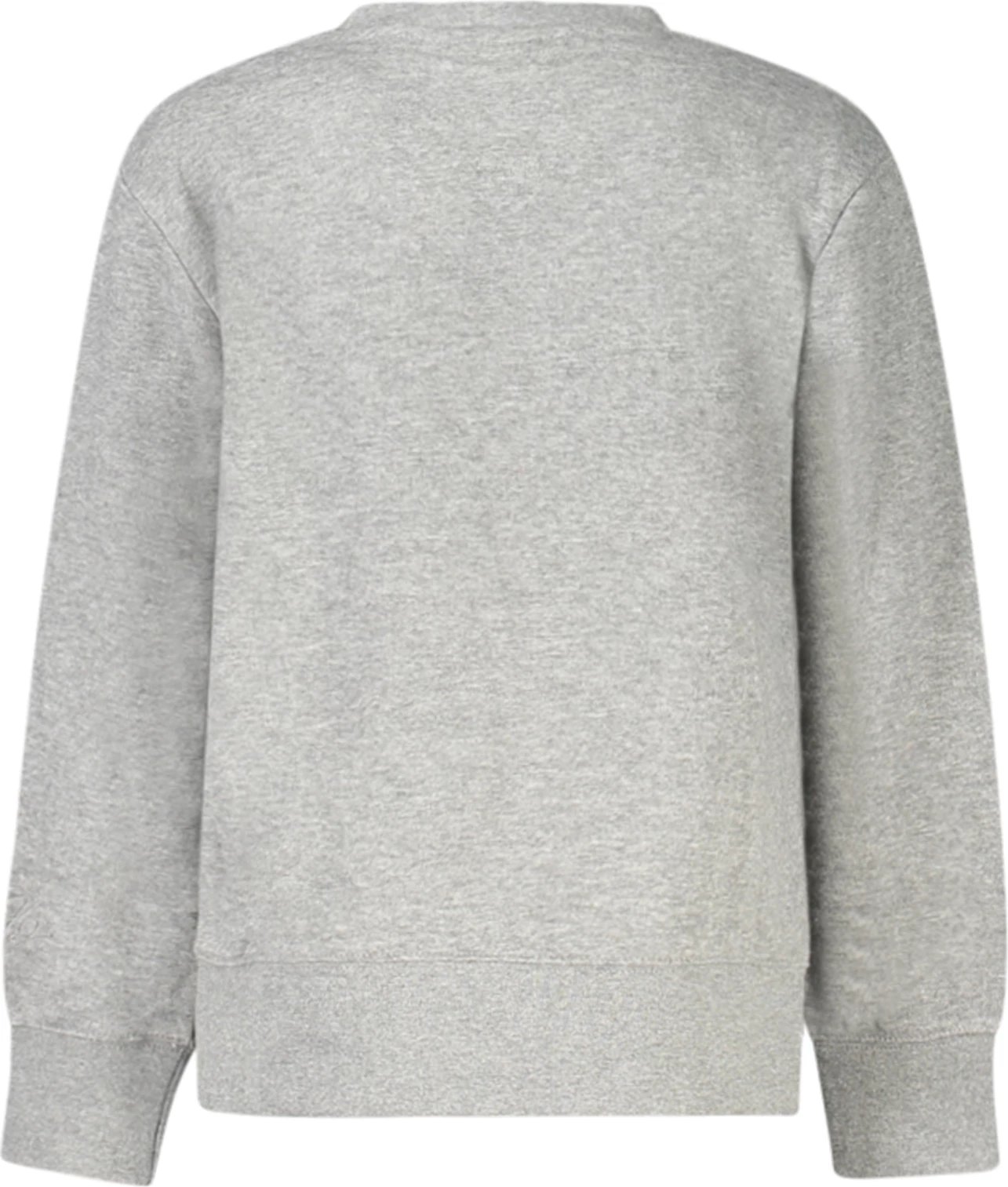 Duks JORDAN zip-up për meshkuj, gri