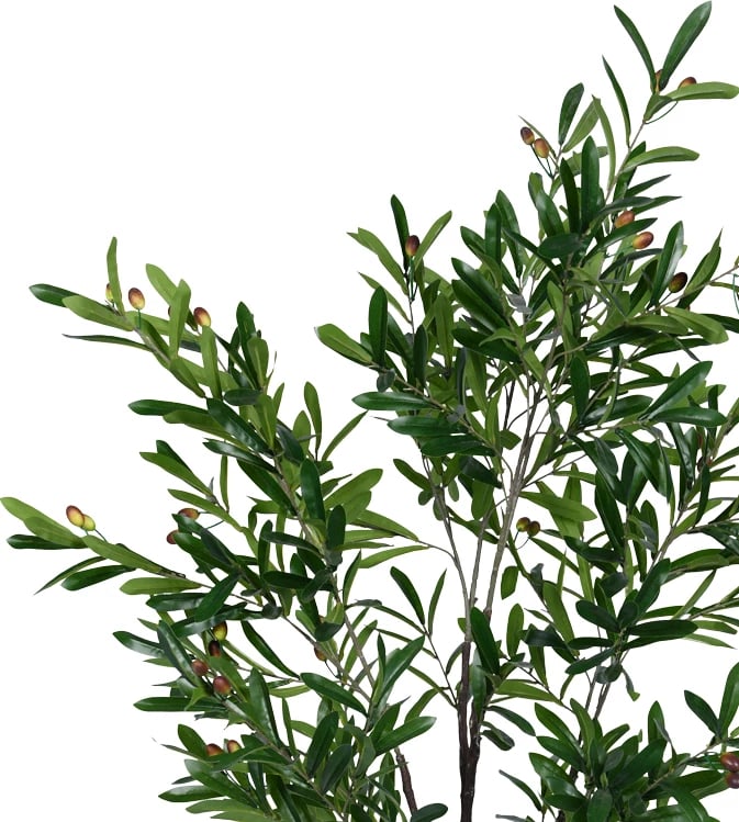 Bimë dekorative ulliri në vazo, jeshile, 150cm