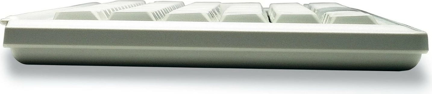 Tastierë Cherry G84-4420, USB, Gri