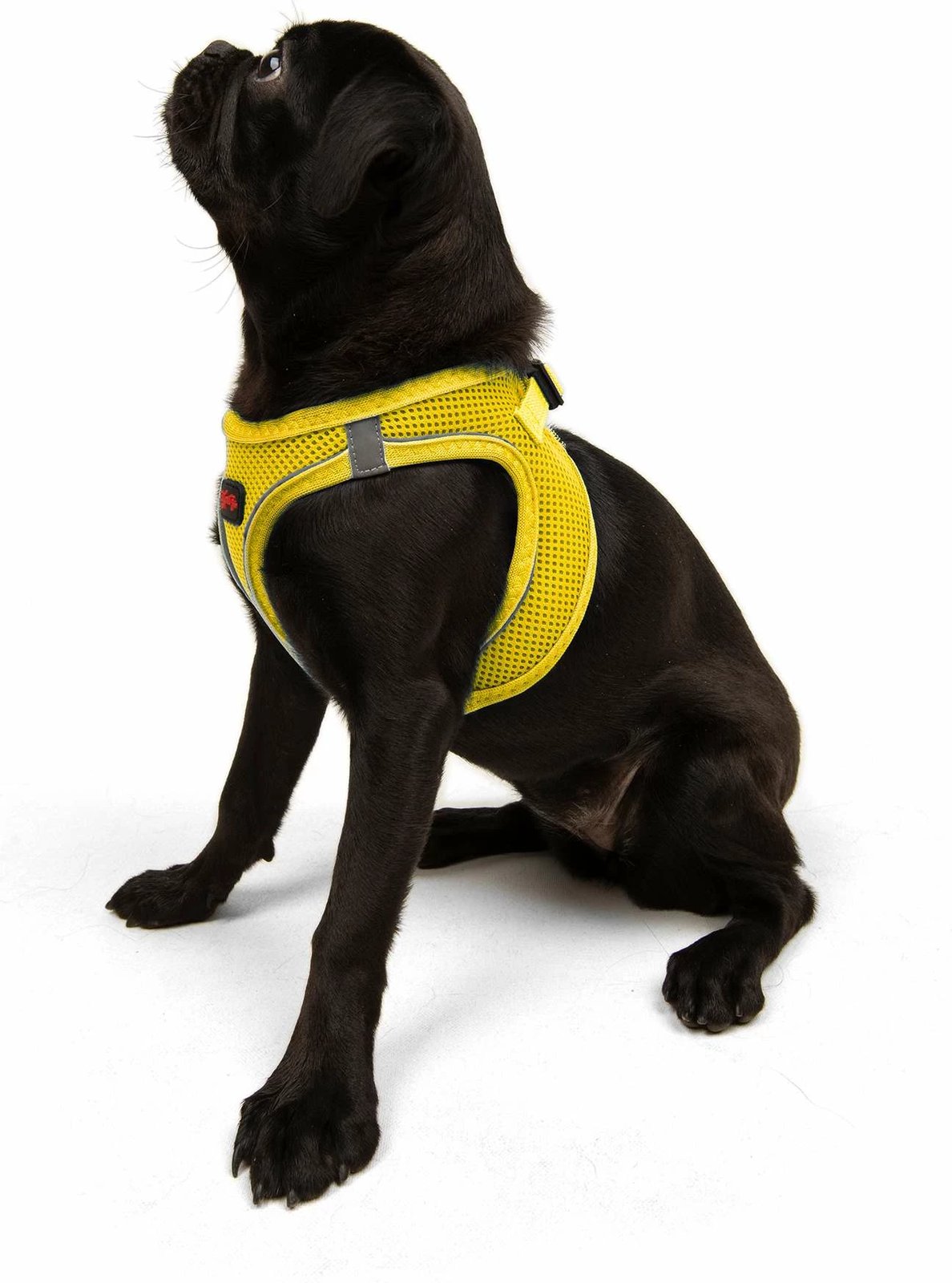 Parzmore për qen, Air-Mesh, e verdhë