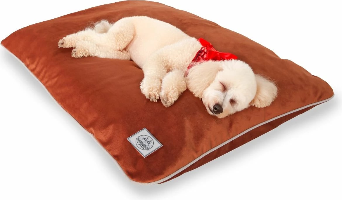 Shtrat për qen, Paws & Whiskers, ngjyrë e kuqe Tile, madhësia L