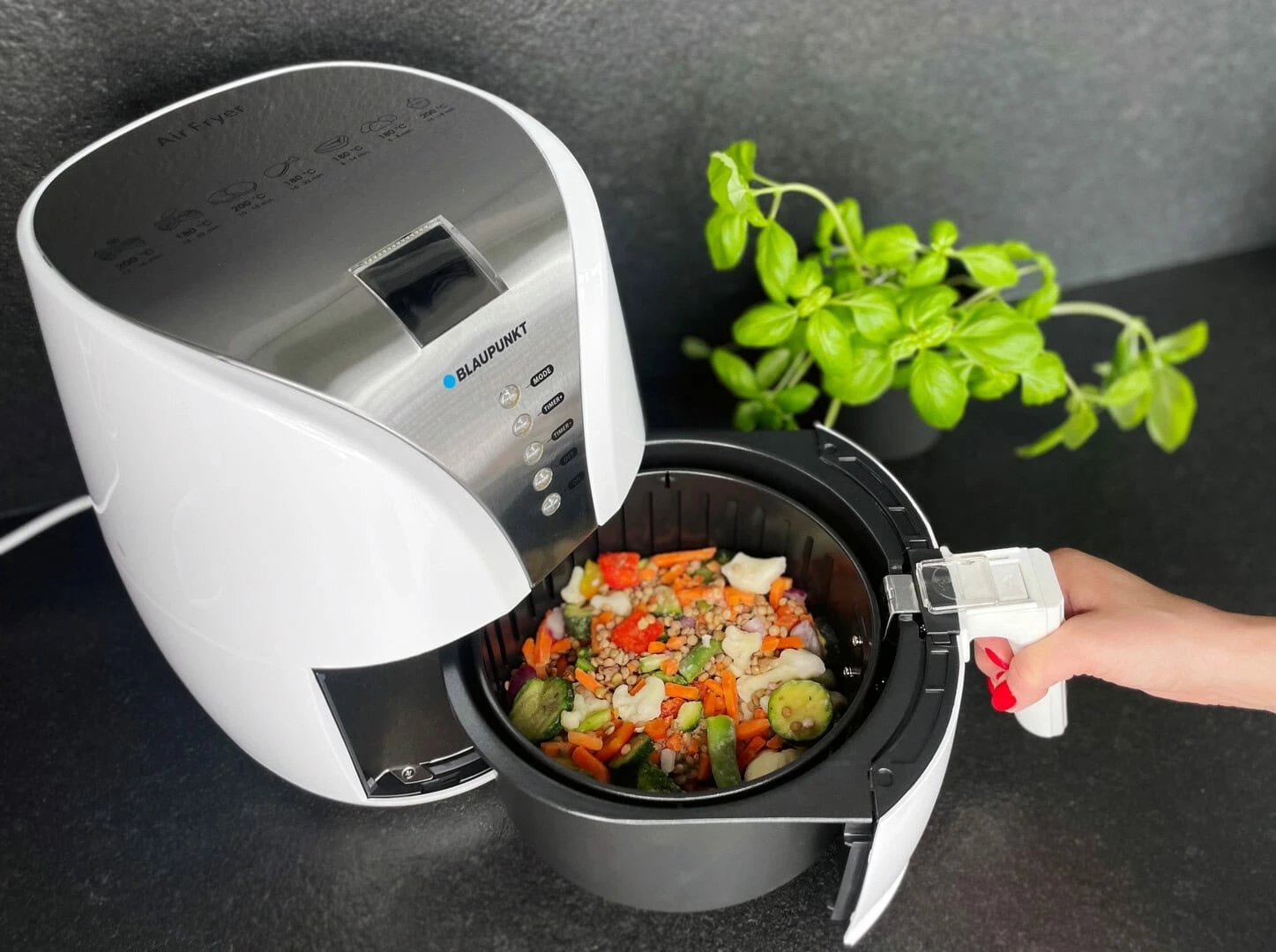 Fritezë BLAUPUNKT AFD601