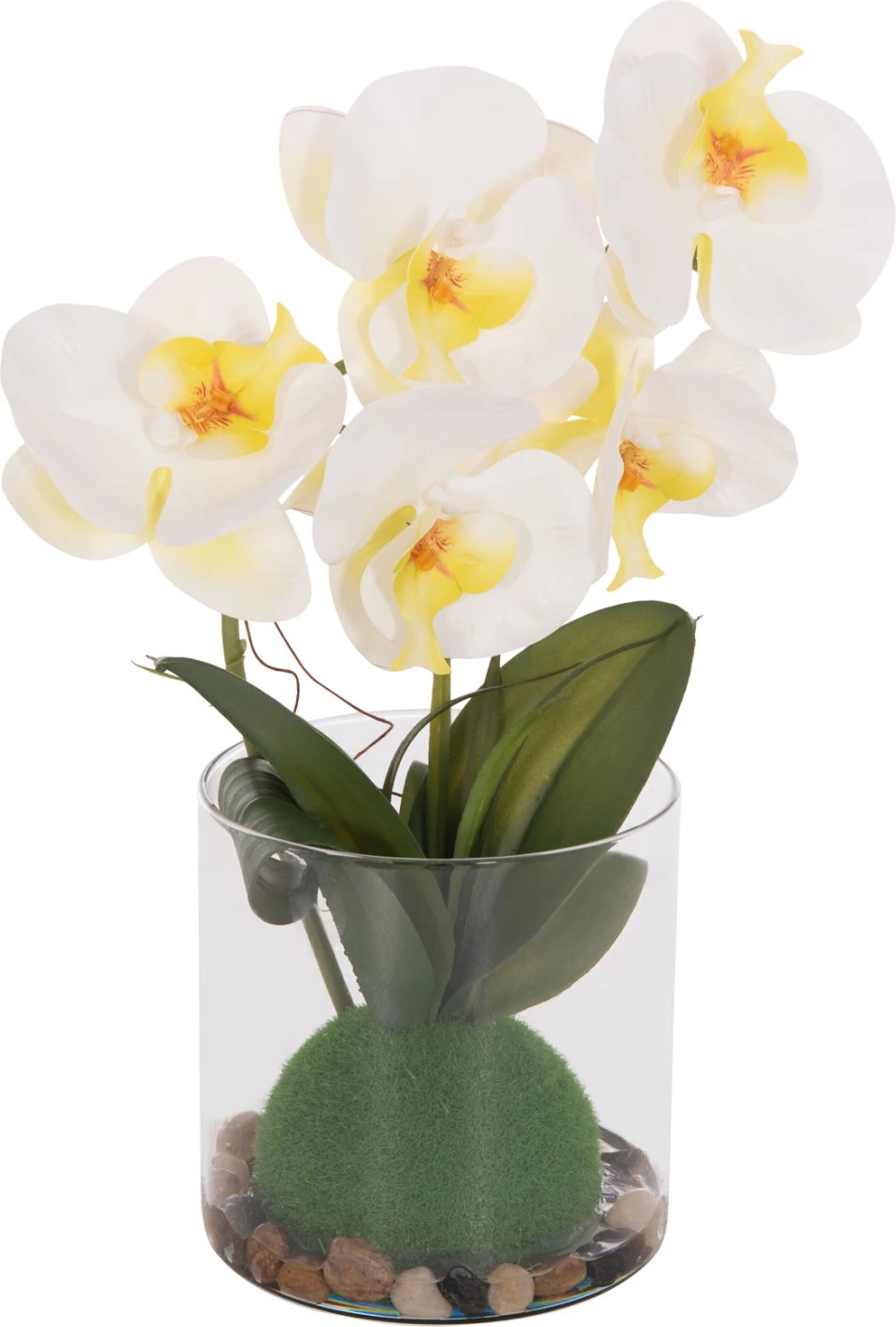 Lule dekorative sintetike Phalaenopsis në vazo qelqi, 12x24x30cm