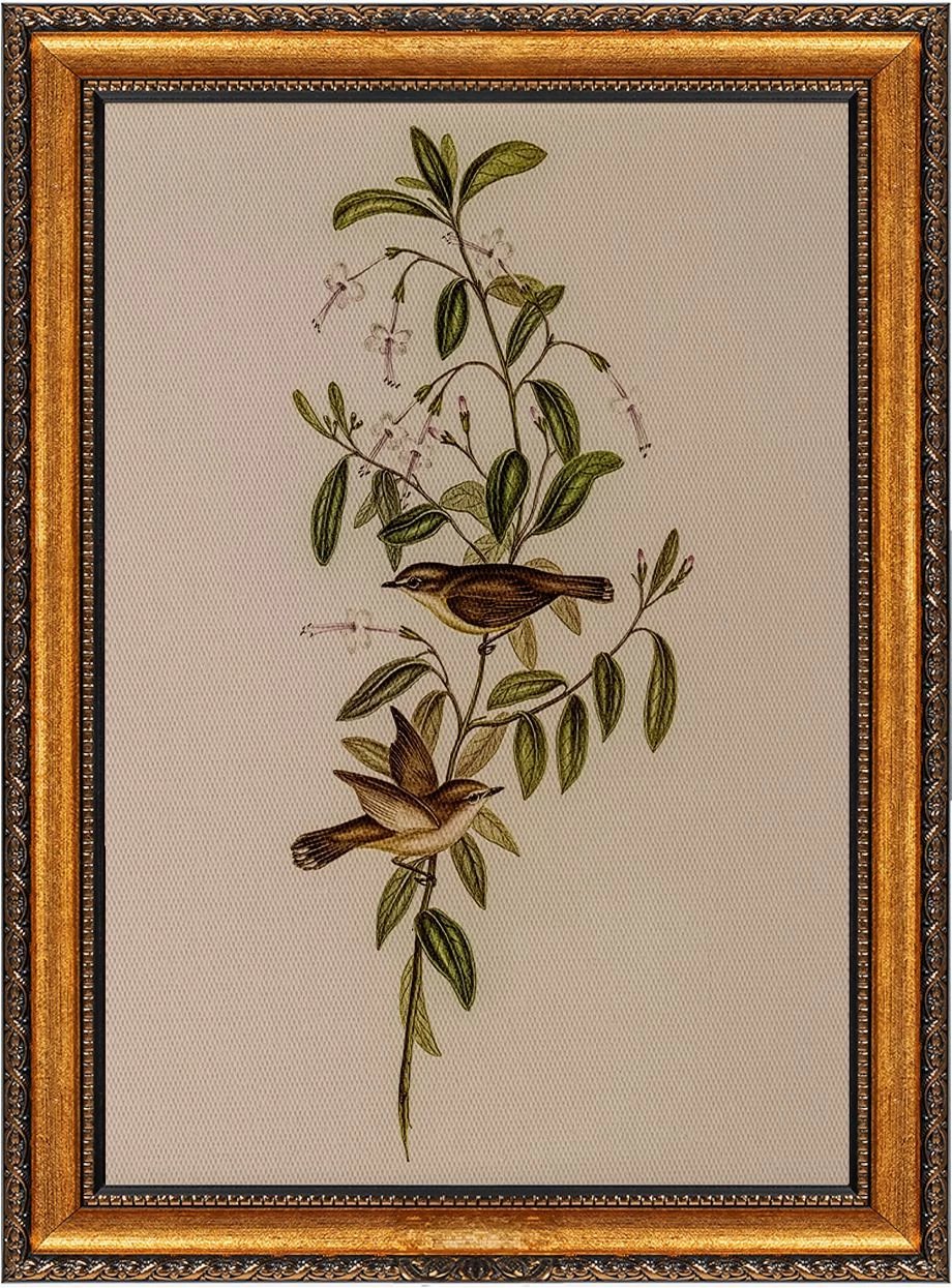 Pikturë dekorative me kornizë, shumëngjyrëshe, Wallity, ATCRCVCNVSMDL26, 40x60cm