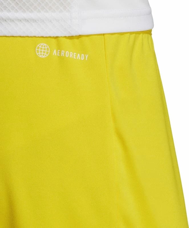 Shorce për meshkuj adidas Entrada 22, të verdha