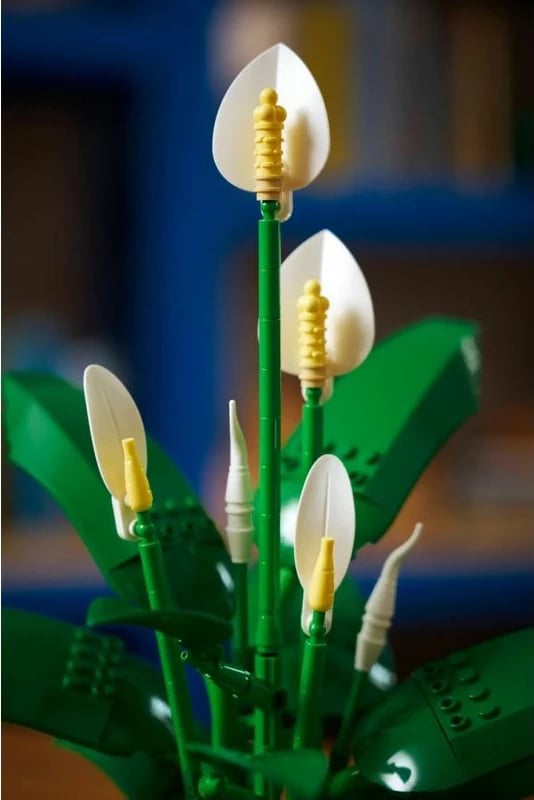 Set LEGO Botanical për të rritur, Spathiphyllum në vazo