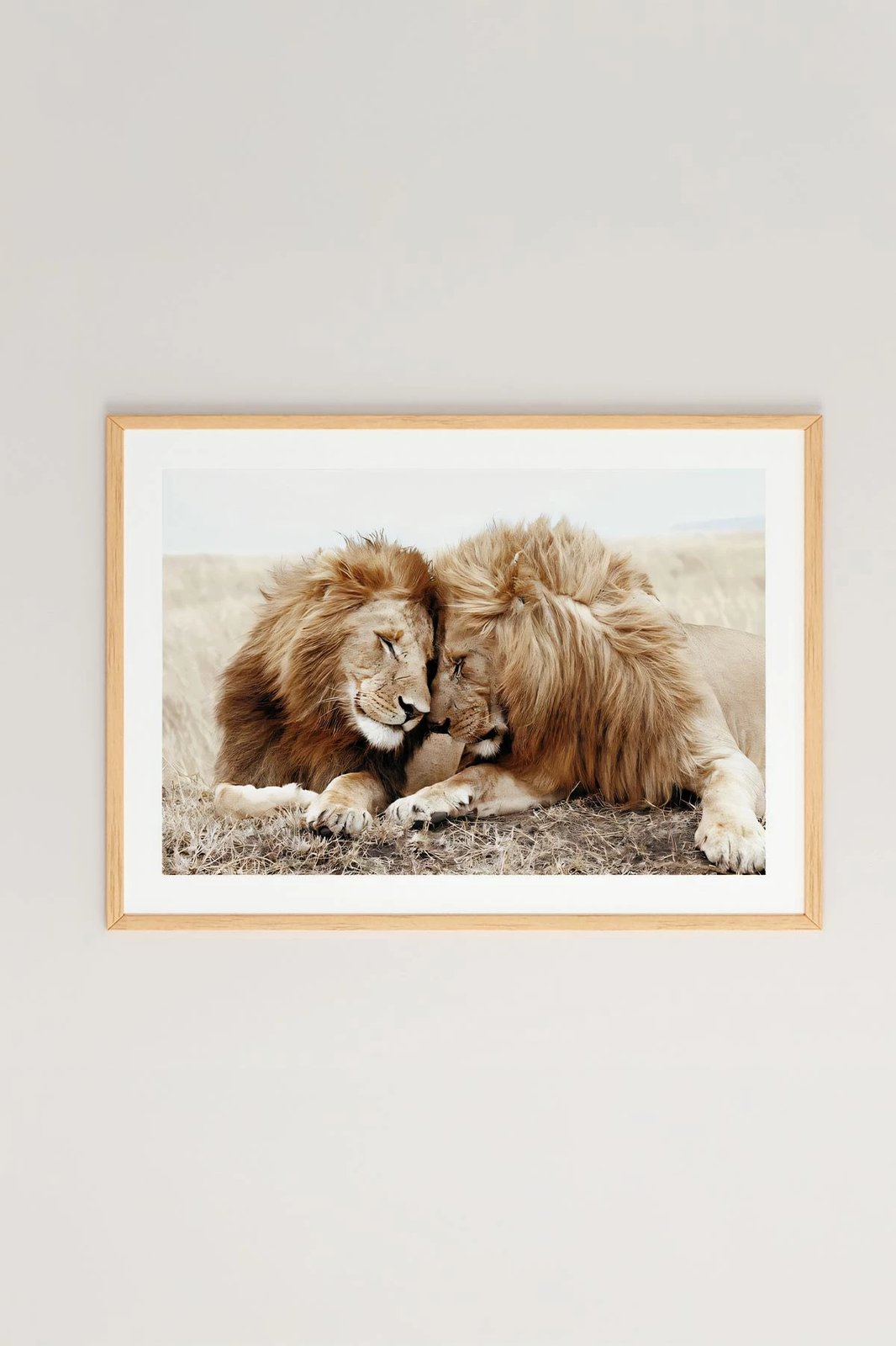 Pikturë dekorative me kornizë, shumëngjyrëshe, Wallity, Tekhamcerceve42, 33x48cm