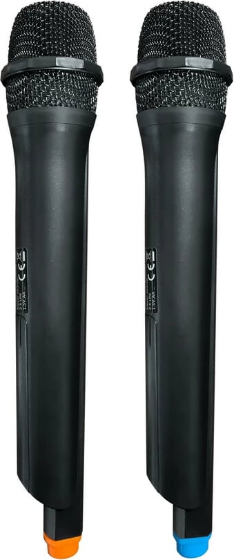 Altoparlant BLAUPUNKT PB06DB