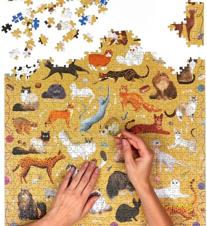 Puzzle CzuCzu Puzzlove Cats 1000 pjesë, shumëngjyrësh